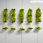 Fleurs en tissu de 38 cm avec guirlandes de perles - Vert