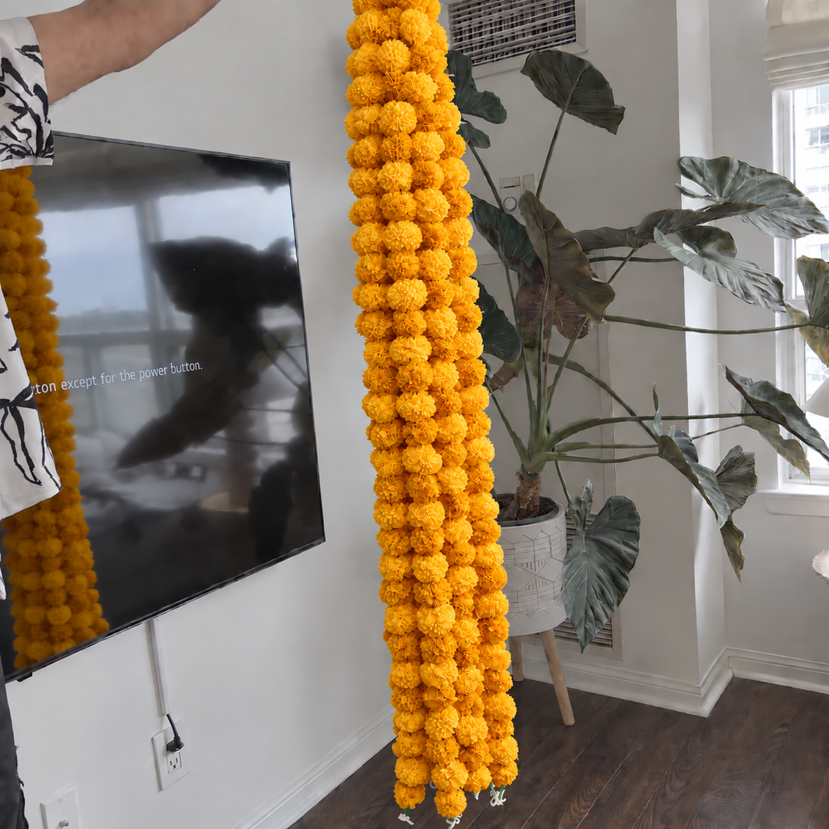 Marigold Flower Strings (Mango)